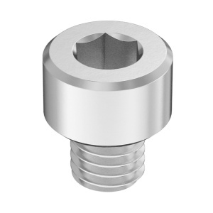 Super-Corrosion-Resistant A4 Socket Head Screw M5 x 0.8 mm Thread size, 5 mm Long图3